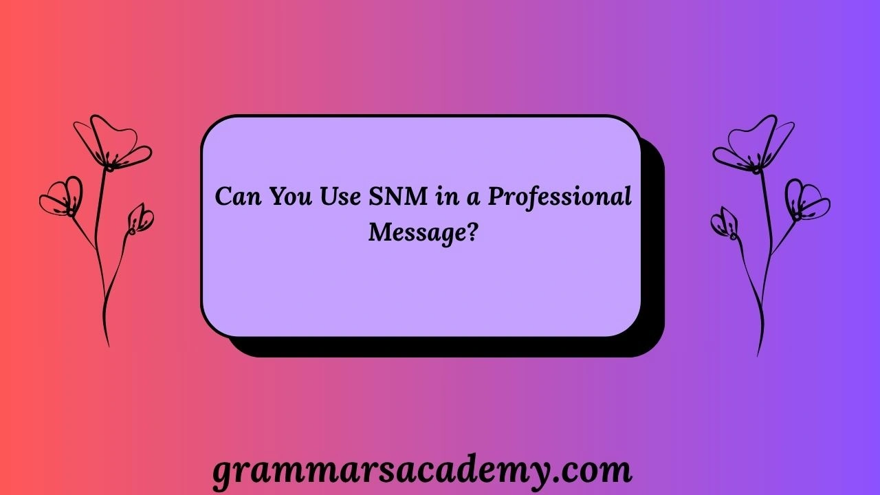 Can You Use SNM in a Professional Message?