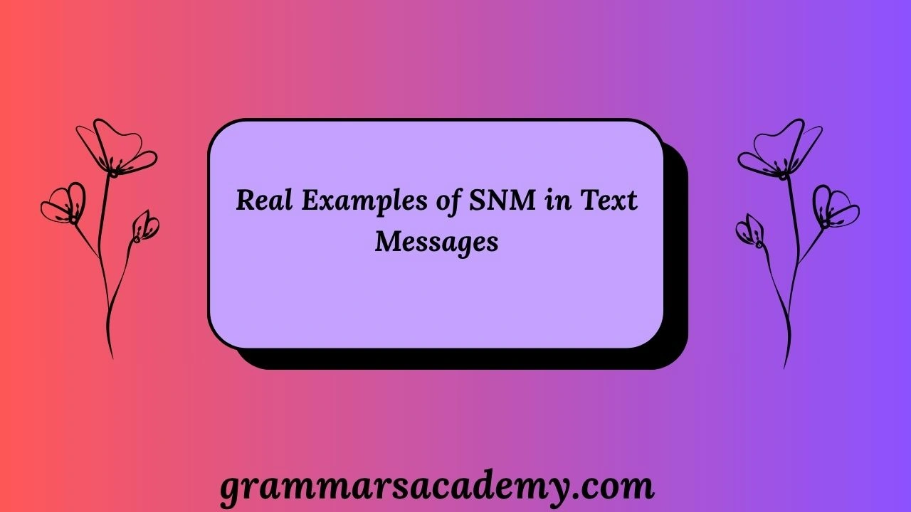 Real Examples of SNM in Text Messages