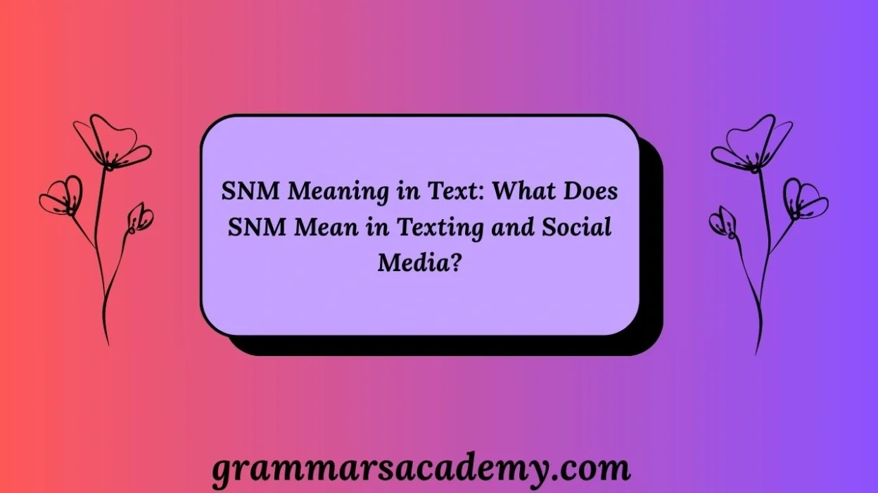 SNM Meaning in Text